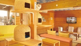 上越動物保護管理センター